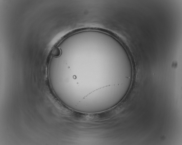 X0000111501271200907281243