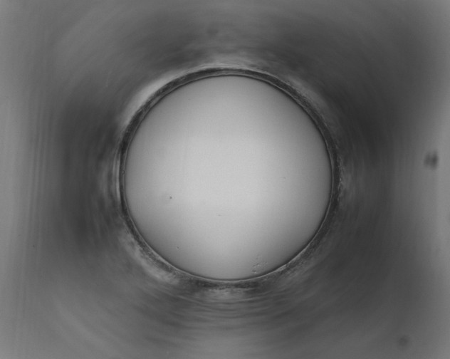 X0000111501272200907281243