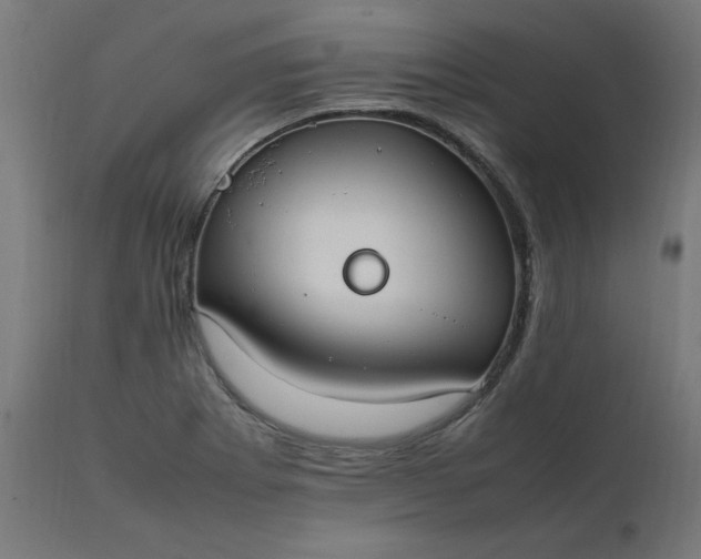 X0000111501273200907281243