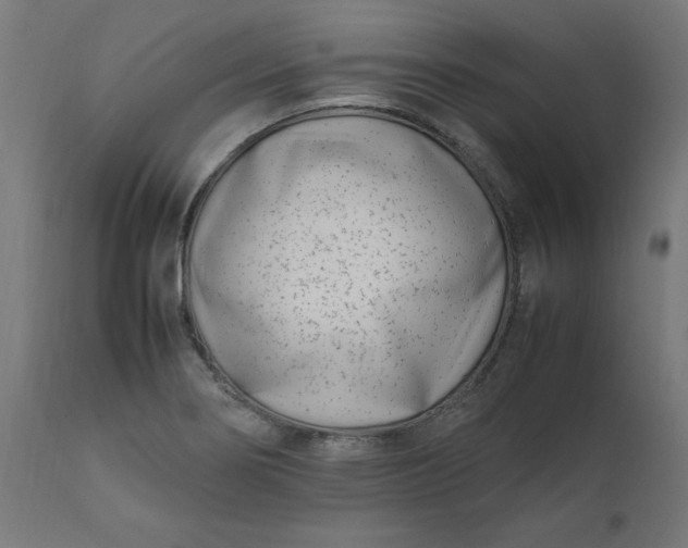 X0000111501274200907281243