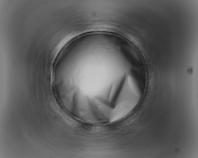 X0000111501275200907281243