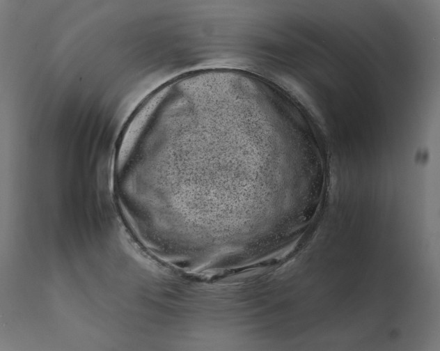 X0000111501276200907281242