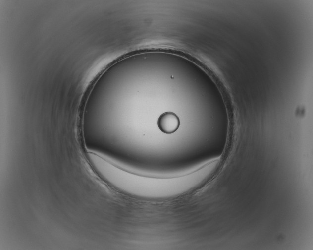 X0000111501277200907281242