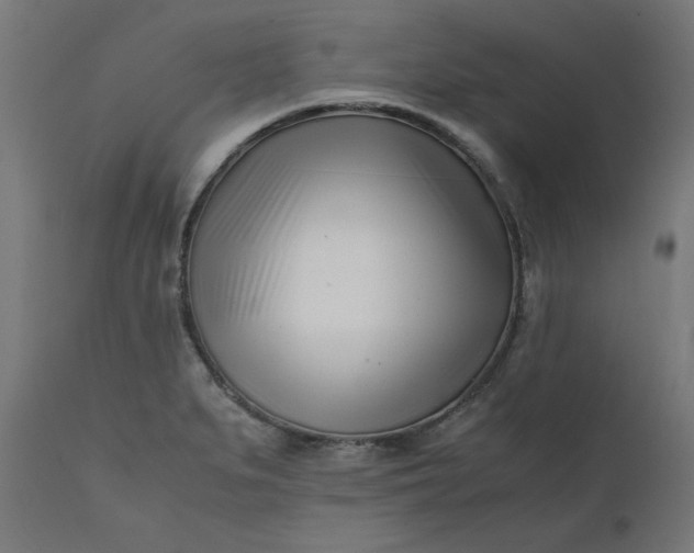 X0000111501279200907281242