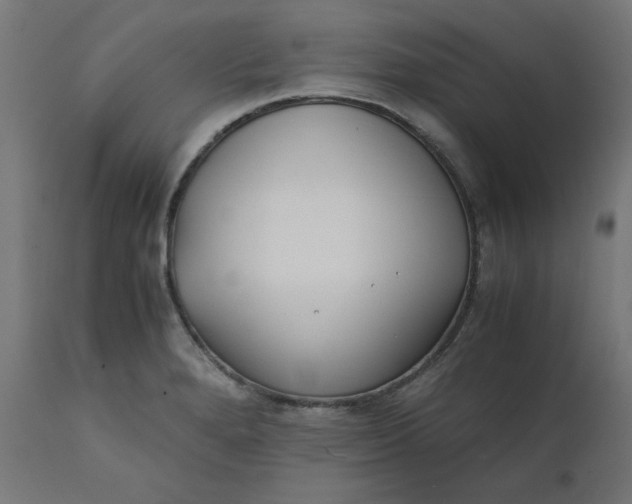 X0000111501280200907281242