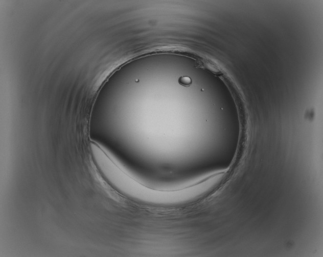 X0000111501281200907281242