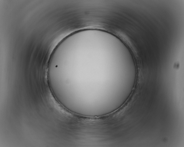 X0000111501284200907281242