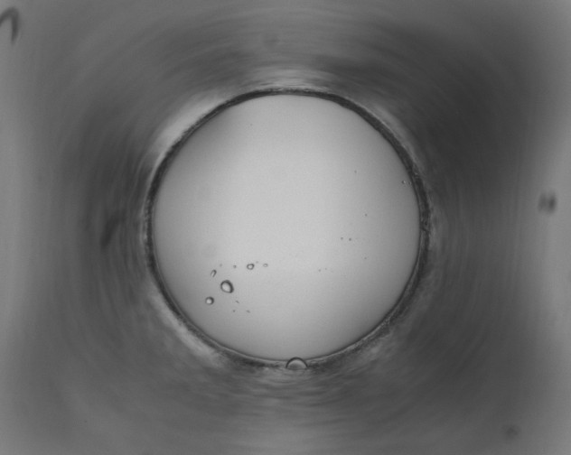 X0000111501285200907281242