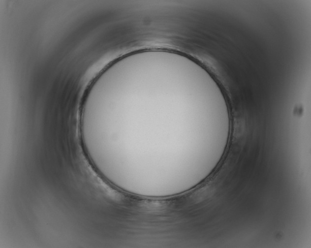 X0000111501286200907281242