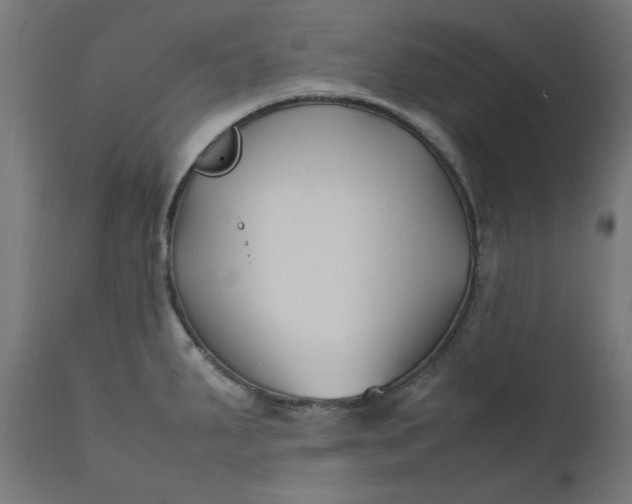 X0000111501287200907281242