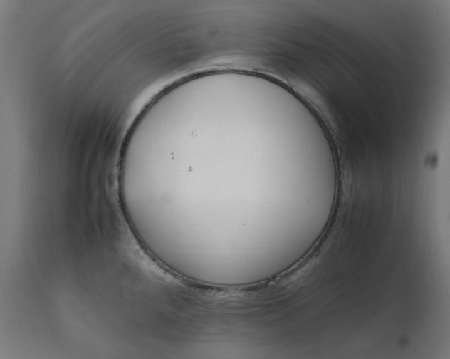 X0000111501288200907281242