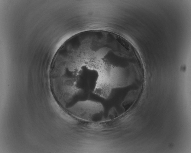 X0000111501291200907281242