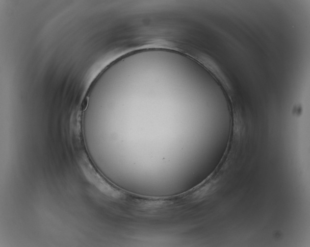 X0000111501292200907281242