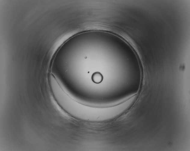 X0000111501293200907281242