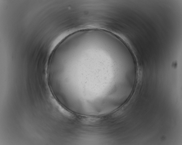 X0000111501294200907281242