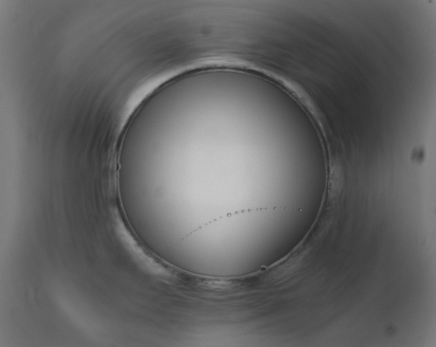 X0000111501295200907281242