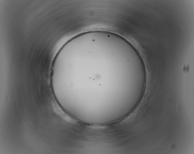 X0000111501296200907281242