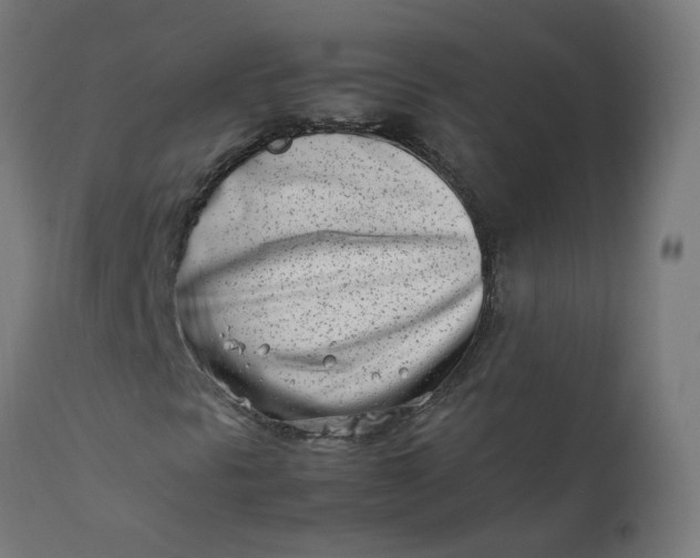 X0000111501297200907281242