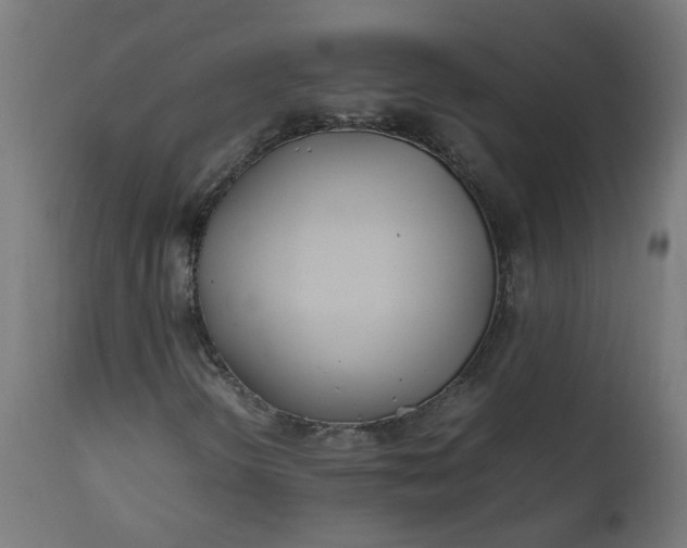 X0000111501298200907281242