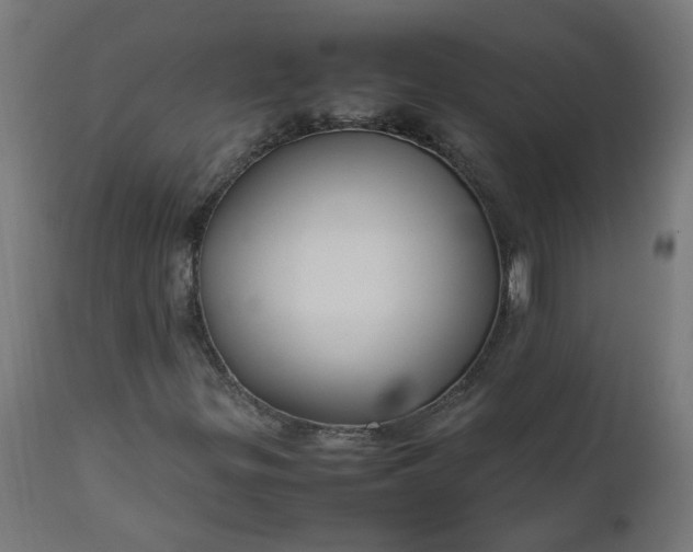 X0000111501299200907281242