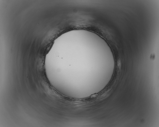 X0000111501300200907281242