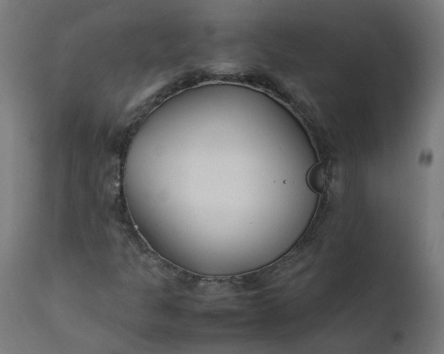 X0000111501301200907281242