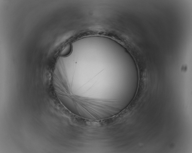 X0000111501302200907281242