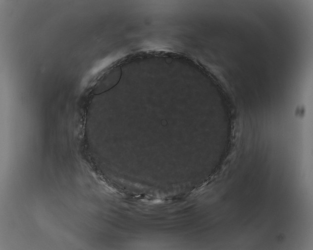 X0000111501303200907281242