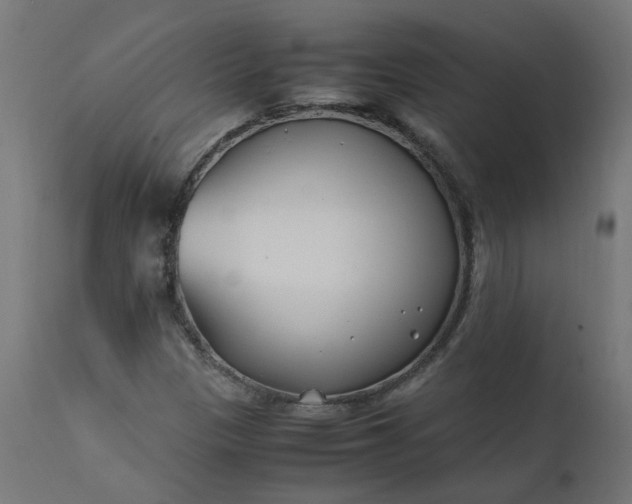 X0000111501305200907281242