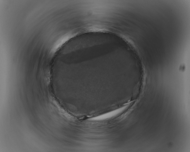 X0000111501306200907281242