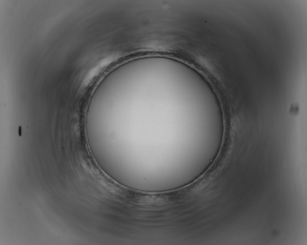 X0000111501307200907281242