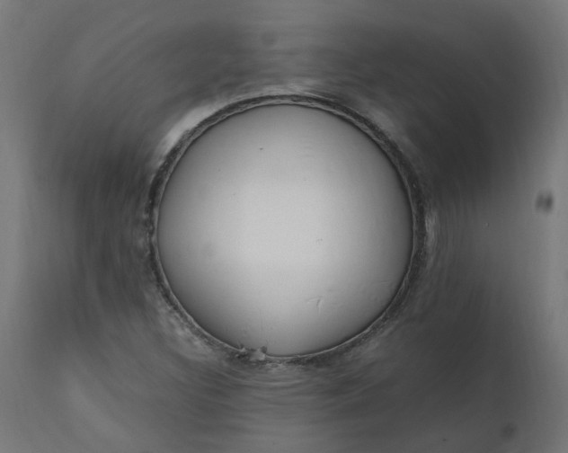 X0000111501308200907281242