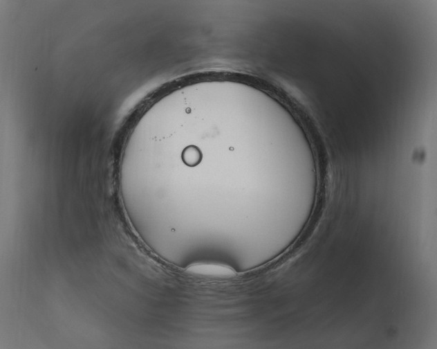 X0000111501310200907281242