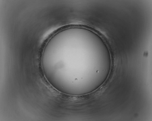 X0000111501311200907281242