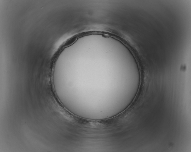 X0000111501312200907281242