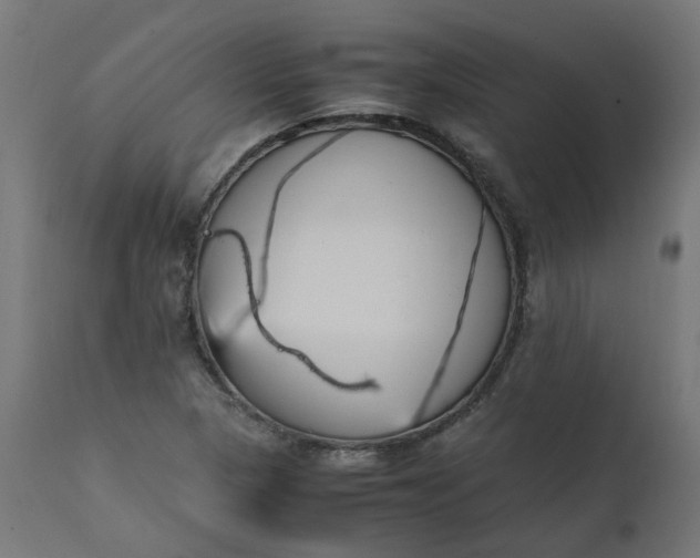 X0000111501313200907281242