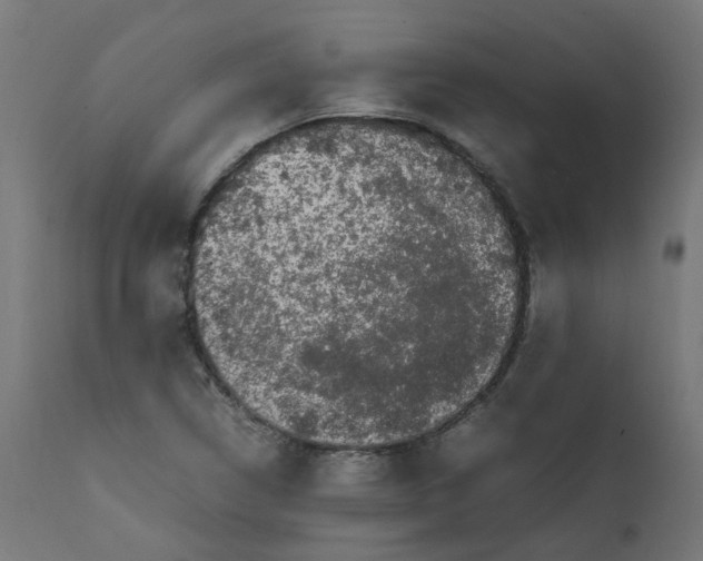 X0000111501314200907281242