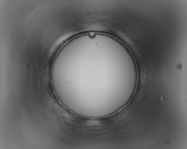 X0000111501315200907281242