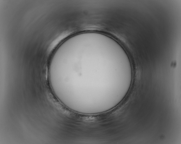 X0000111501317200907281242