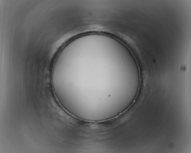 X0000111501318200907281242