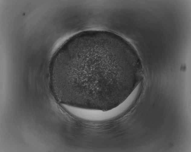 X0000111501319200907281242