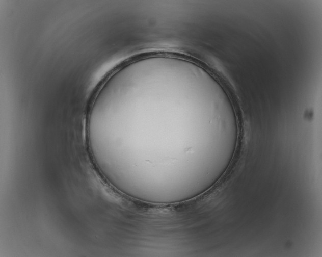 X0000111501320200907281242