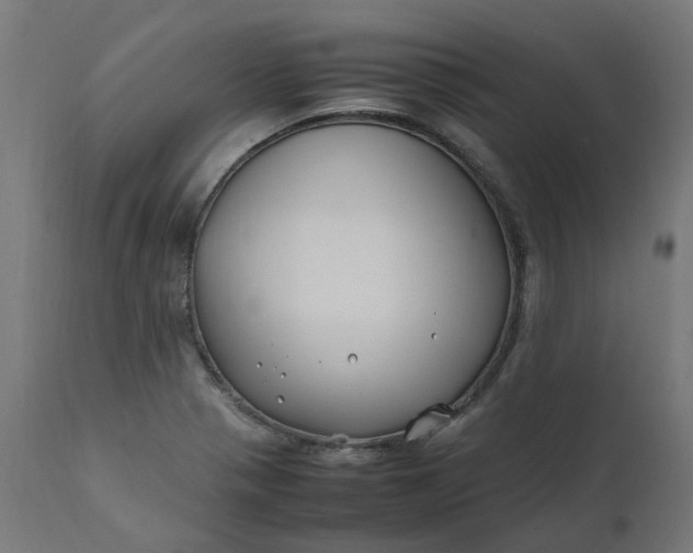 X0000111501321200907281242