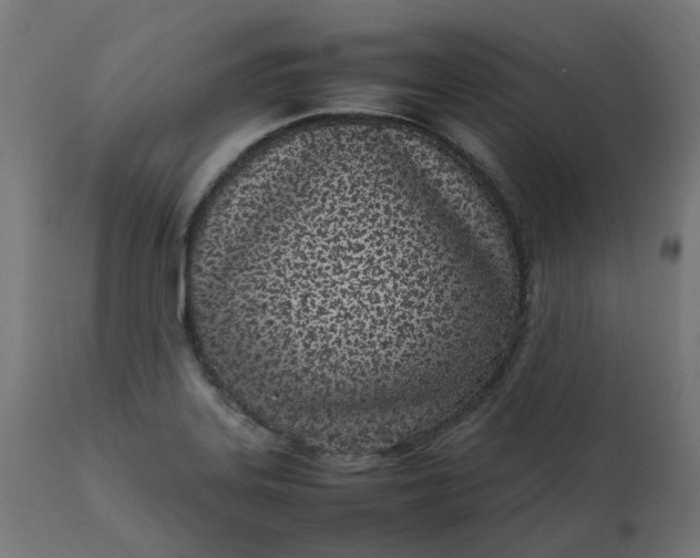 X0000111501323200907281242