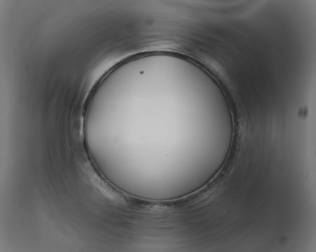 X0000111501324200907281242