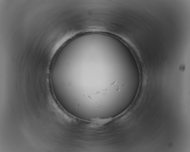 X0000111501325200907281242