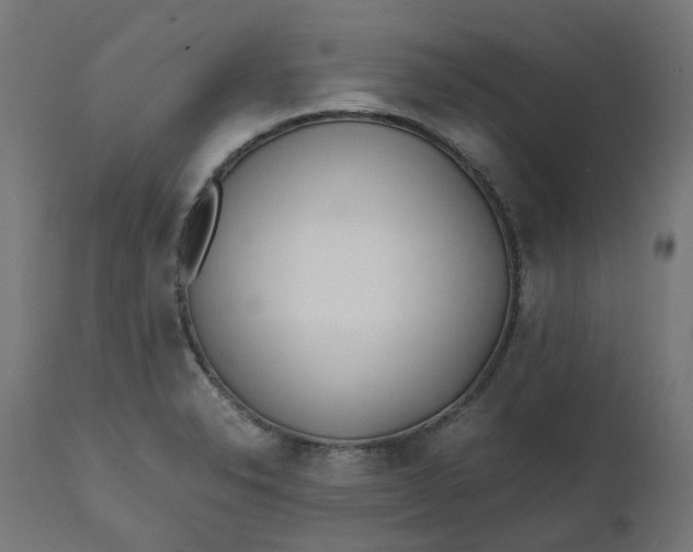 X0000111501326200907281242