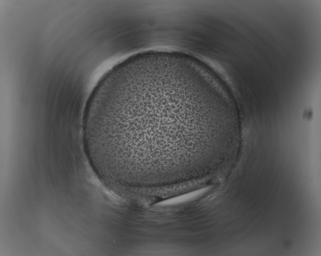 X0000111501327200907281242