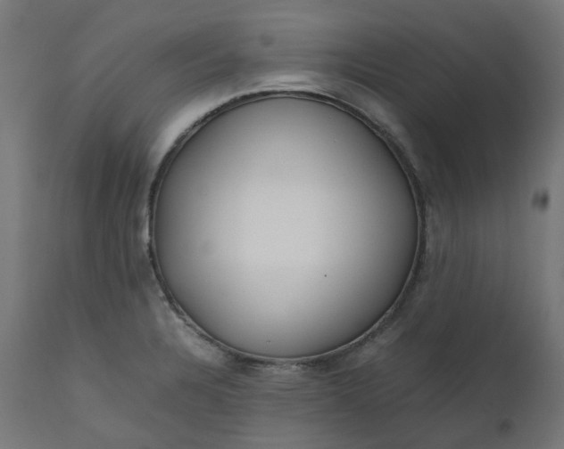 X0000111501328200907281242