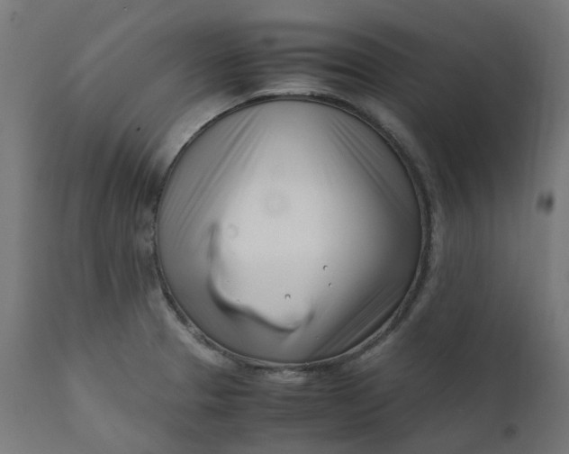 X0000111501329200907281242